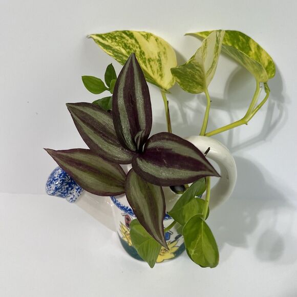 Vintage 80's Sculptural Watering Can Ceramic Flower Frog Propagation Station - Picture 6 of 13